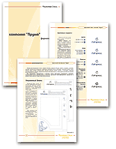 BrandBook developed in design - studio "Torgovy Dvigatel"